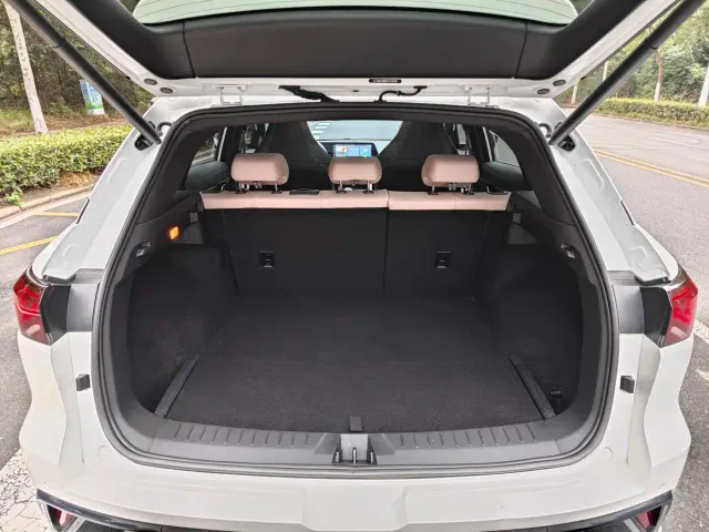 JAC Motors JAC QX PHEV — Фото автомобиля 23
