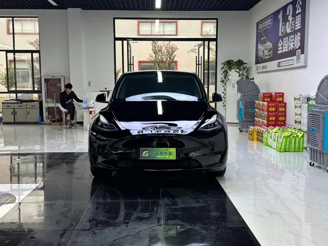 Tesla Model Y — Фото автомобиля 2