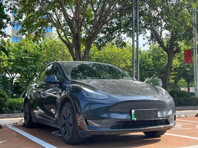Tesla Model Y — Фото автомобиля 3