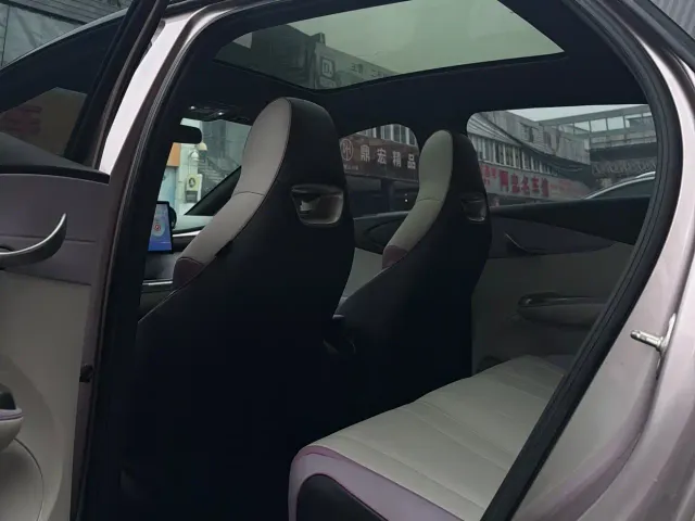 BYD Dolphin 2021 401km Knight Edition — Фото автомобиля 6