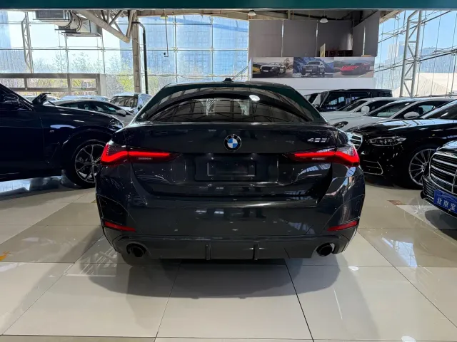 BMW 4 Series — Фото автомобиля 13