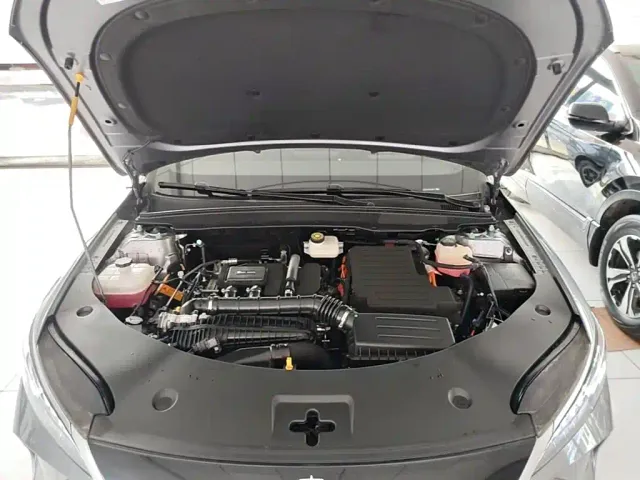 BYD Qin PLUS — Фото автомобиля 19