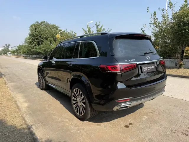 Mercedes-Benz GLS-Class — Фото автомобиля 23