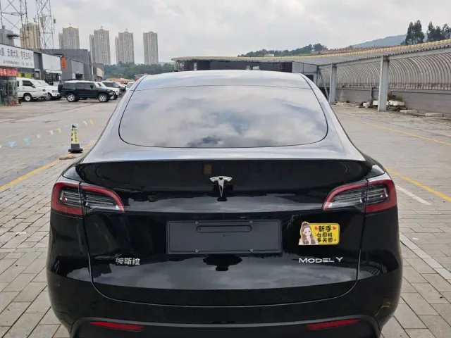 Tesla Model Y — Фото автомобиля 7