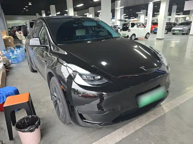 Tesla Model Y — Фото автомобиля 3