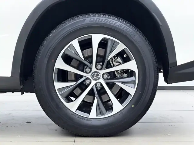 Lexus RX — Фото автомобиля 13