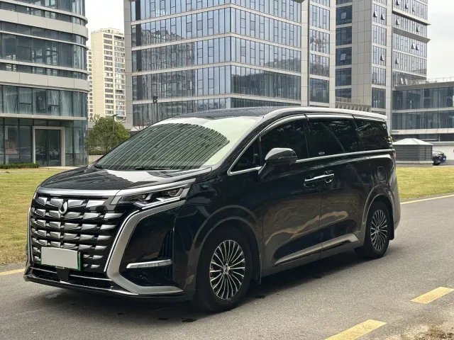 Фотография автомобиля — Denza D9