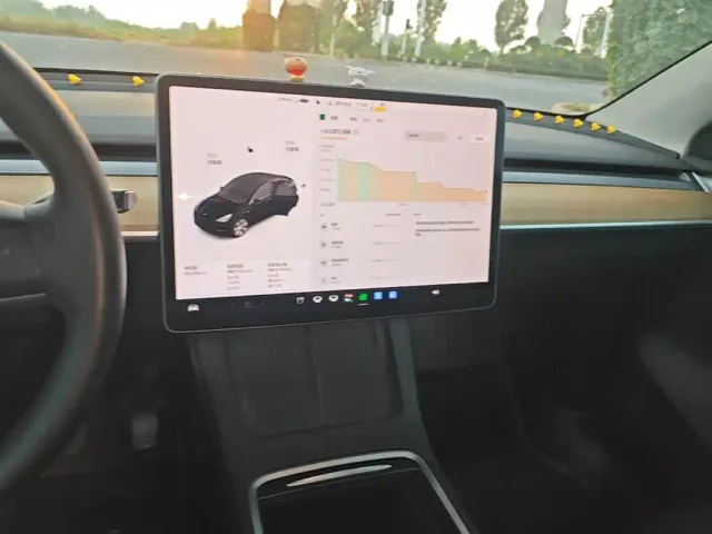 Tesla Model Y — Фото автомобиля 12