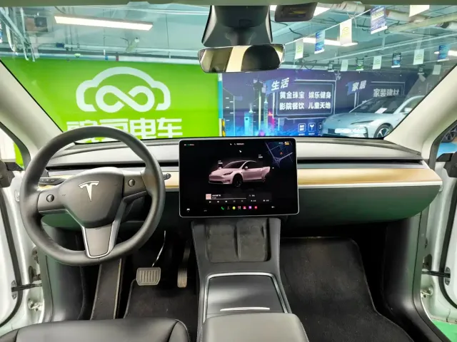 Tesla Model Y 2022 Long Range AWD — Фото автомобиля 12