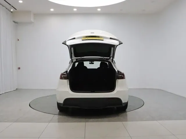Tesla Model Y — Фото автомобиля 9