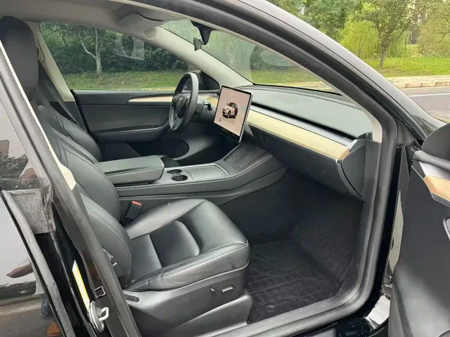 Tesla Model Y — Фото автомобиля 11