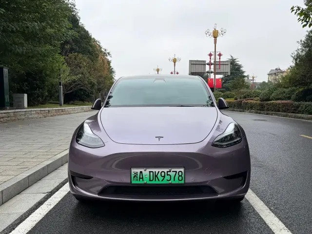 Tesla Model Y — Фото автомобиля 2