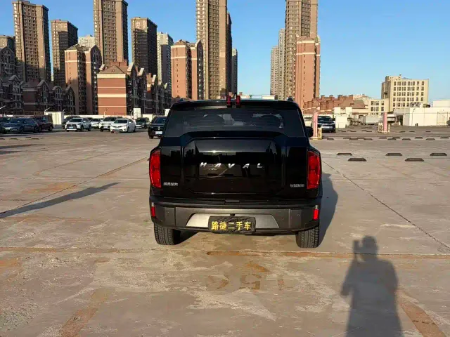 Haval Cool Dog — Фото автомобиля 7