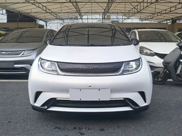 BYD Dolphin — Фото автомобиля 2