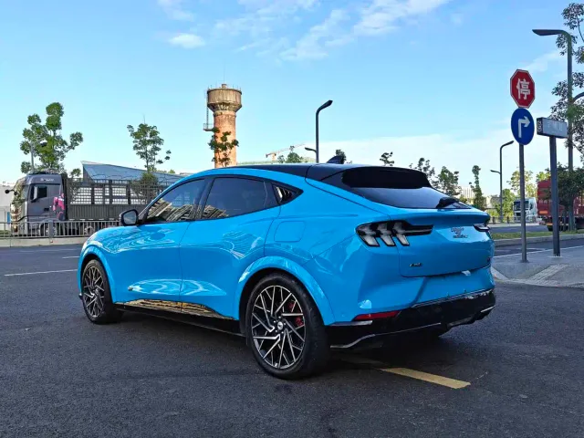Ford Mustang Mach-E — Фото автомобиля 9