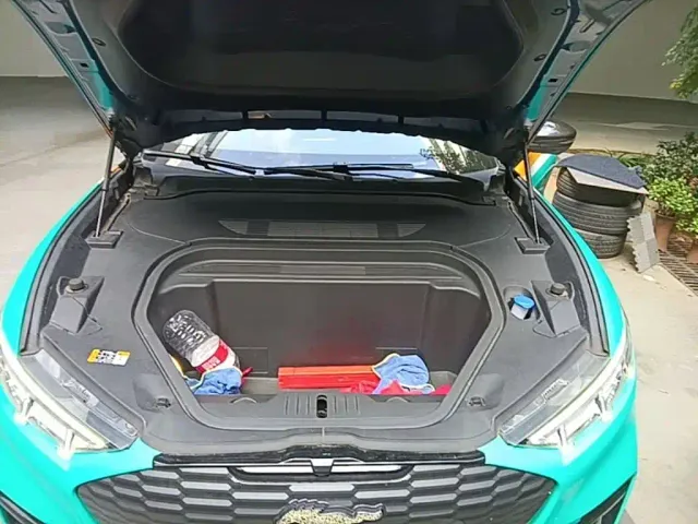 Ford Mustang Mach-E — Фото автомобиля 19