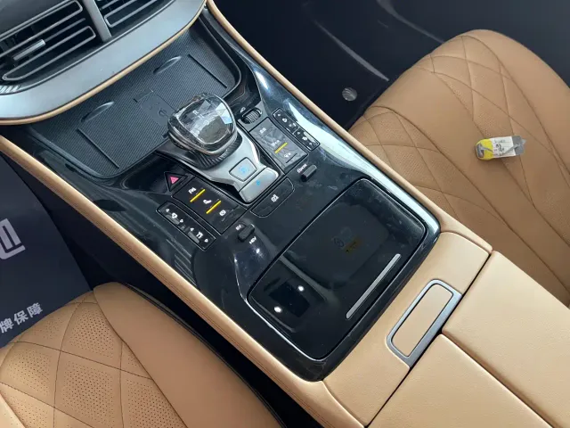 Denza D9 — Фото автомобиля 15