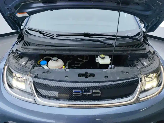 BYD Dolphin — Фото автомобиля 10