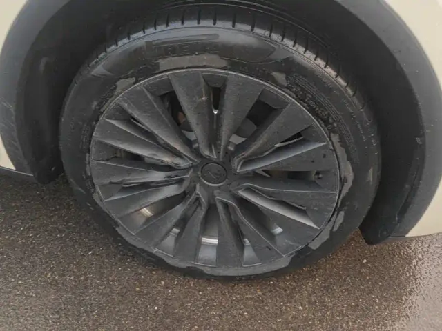Tesla Model Y — Фото автомобиля 6