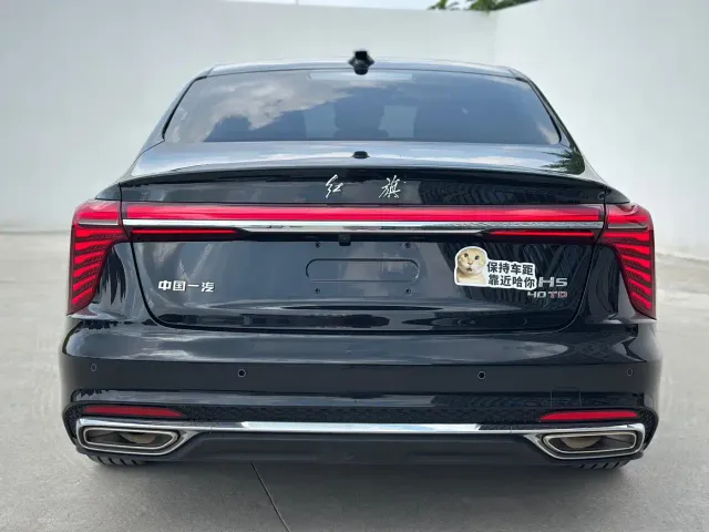 Hongqi H5 — Фото автомобиля 18