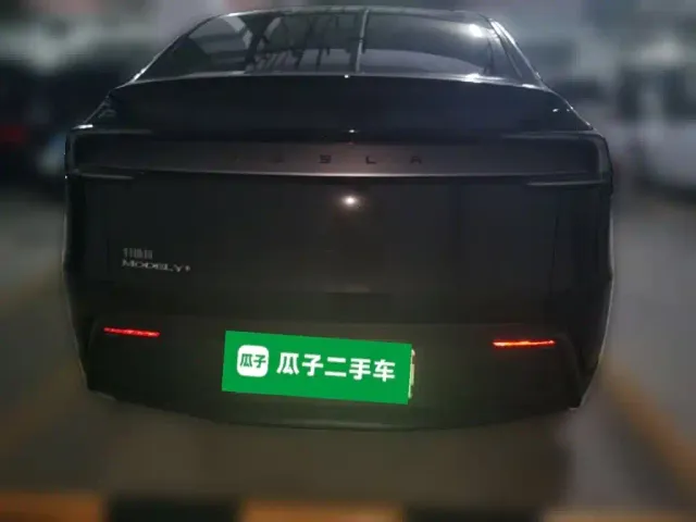 Tesla Model Y — Фото автомобиля 3