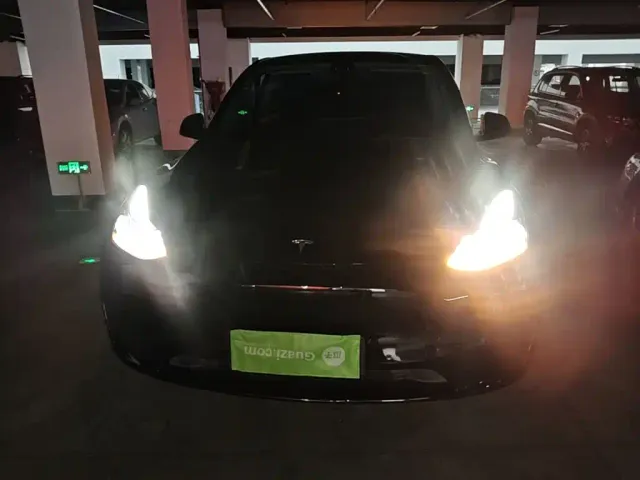 Tesla Model Y — Фото автомобиля 2