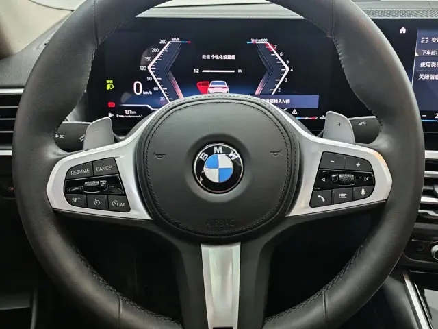 BMW 3 Series — Фото автомобиля 12