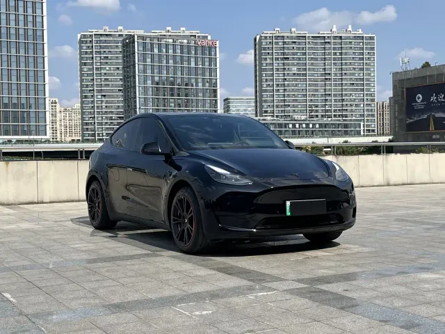 Tesla Model Y — Фото автомобиля 3
