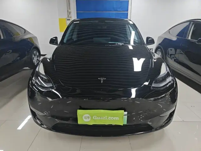 Tesla Model Y — Фото автомобиля 2