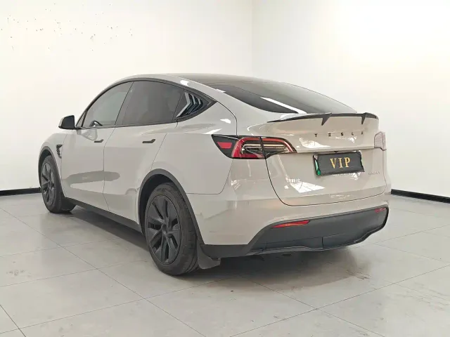 Tesla Model Y — Фото автомобиля 4