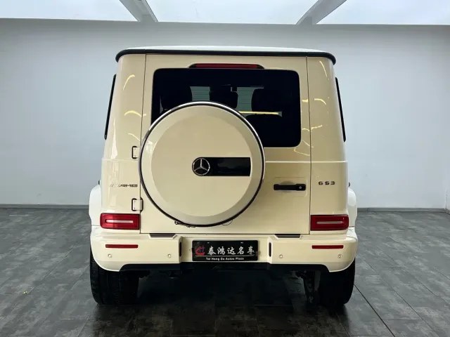 Mercedes-Benz G-Class — Фото автомобиля 5