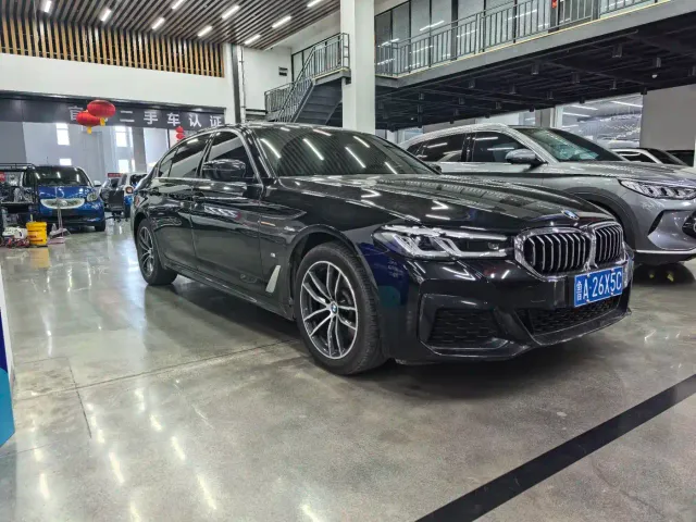 BMW 5 Series — Фото автомобиля 6