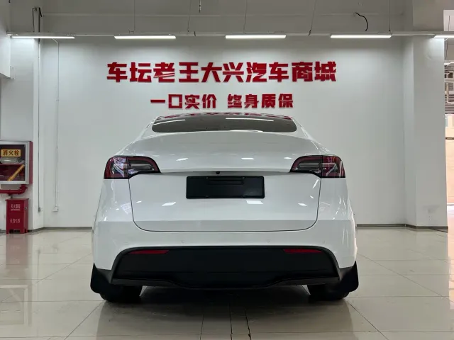 Tesla Model Y — Фото автомобиля 13