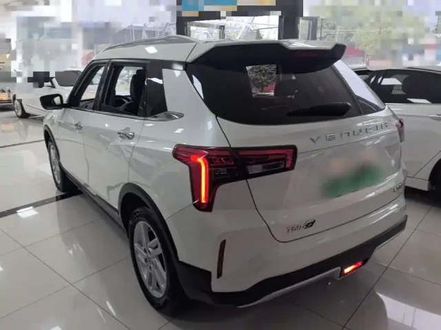 Venucia T60EV — Фото автомобиля 4