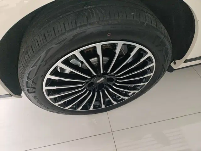 Wey Lanshan — Фото автомобиля 22