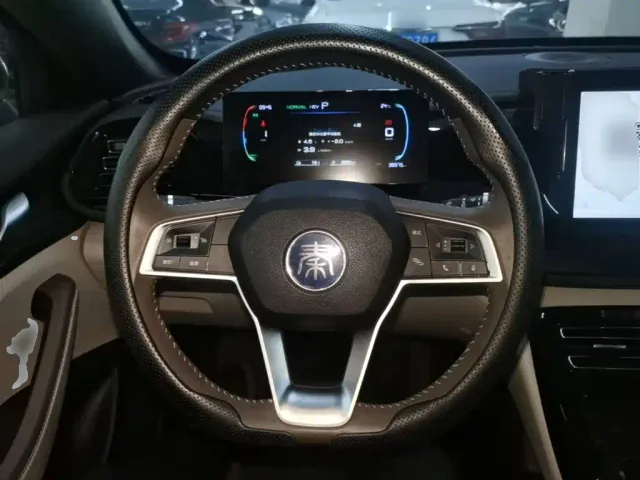BYD Qin PLUS — Фото автомобиля 10