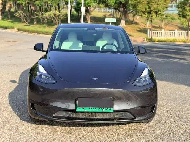 Tesla Model Y — Фото автомобиля 10