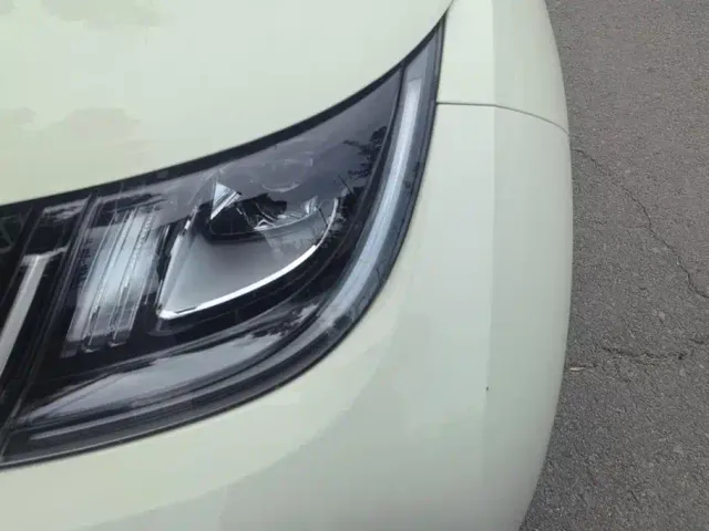 BYD Dolphin — Фото автомобиля 5