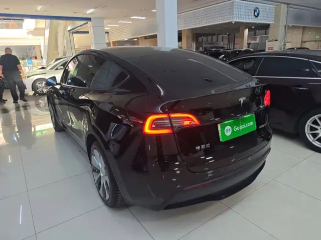 Tesla Model Y — Фото автомобиля 4