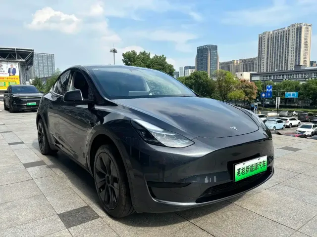 Tesla Model Y — Фото автомобиля 3