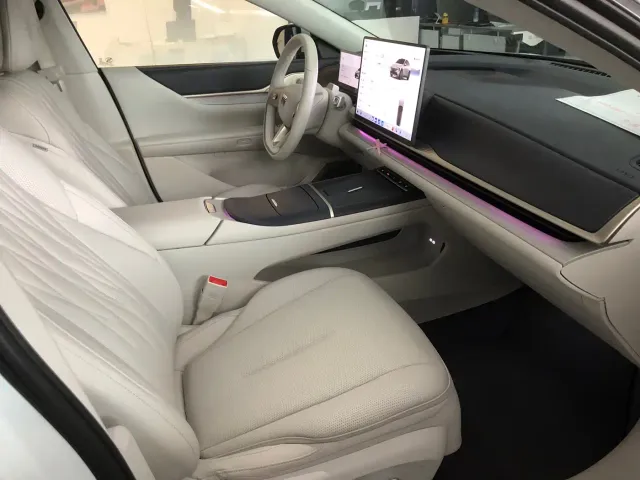 Buick Electra L7 — Фото автомобиля 8