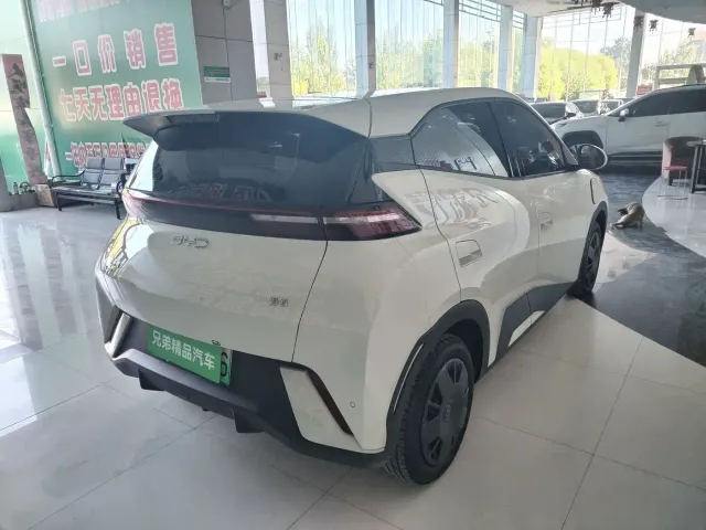 BYD Seagull — Фото автомобиля 14