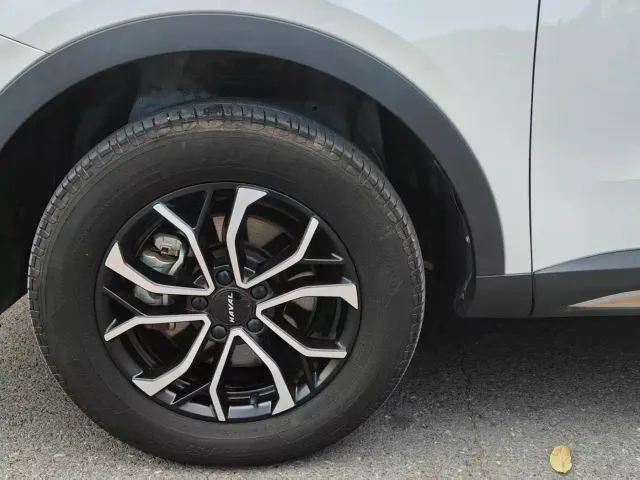 Haval H6 — Фото автомобиля 24