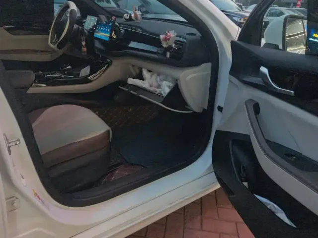BYD Qin PLUS — Фото автомобиля 8