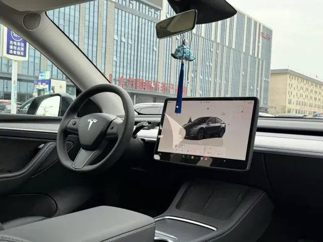 Tesla Model Y — Фото автомобиля 8