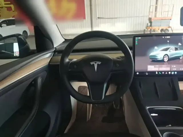 Tesla Model Y — Фото автомобиля 10