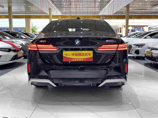 BMW 5 Series — Фото автомобиля 5