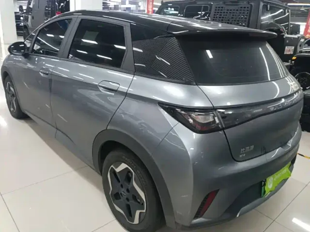 BYD Dolphin — Фото автомобиля 4