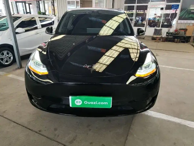 Tesla Model Y — Фото автомобиля 2