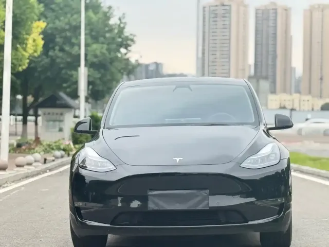 Tesla Model Y — Фото автомобиля 3